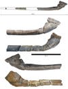 jaw bone fossil