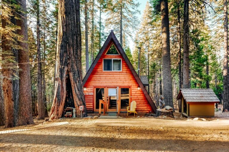 Vacasa Under the Trees Camp Connell CA 1024x683