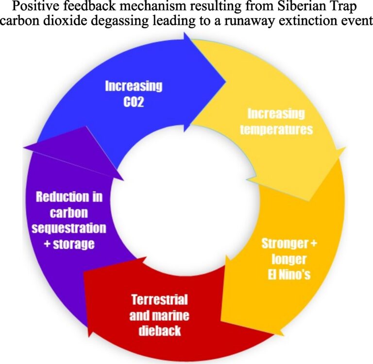 extinction feedback loop