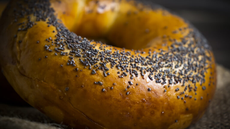 poppy seed bagel