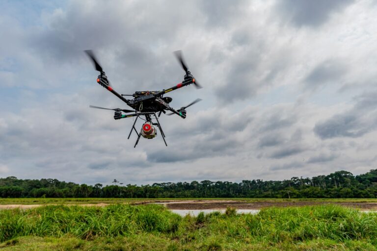 drone at capitale