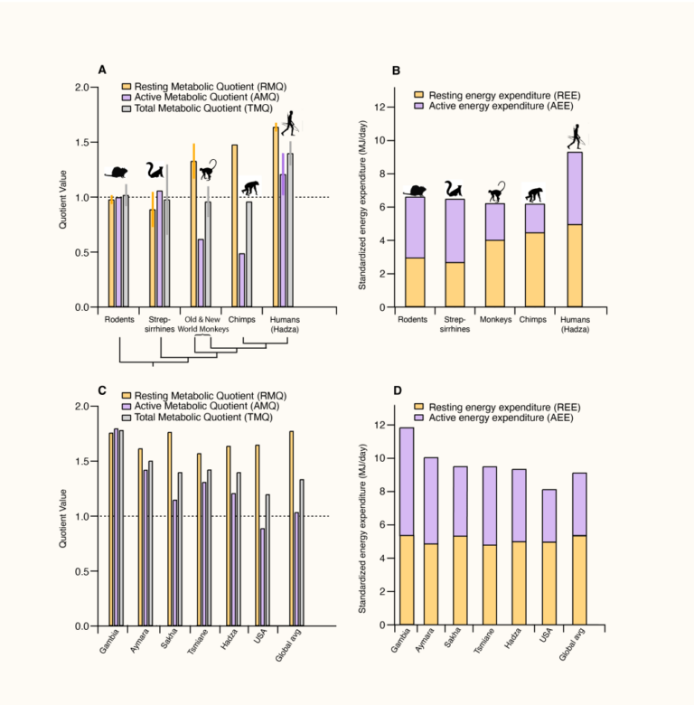 New Fig 3 1