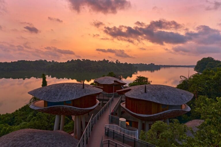 Mandai Rainforest Resort by Banyan Tree Singapore scaled e1736832289641 1024x683