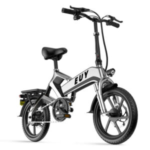 Eco Mobility Ride: Pioneering the Future of Electric Mobility Solutions
